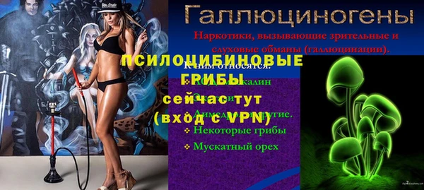 a pvp Нея