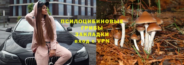 мяу мяу кристалл Нефтекумск
