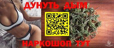 МДПВ Дубна
