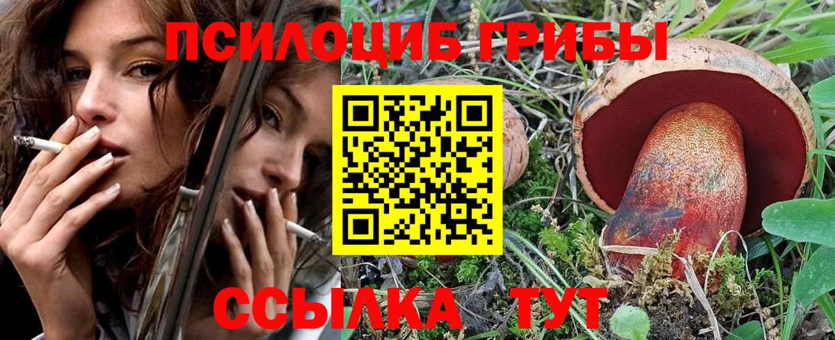 Псилоцибиновые грибы MAGIC MUSHROOMS Людиново