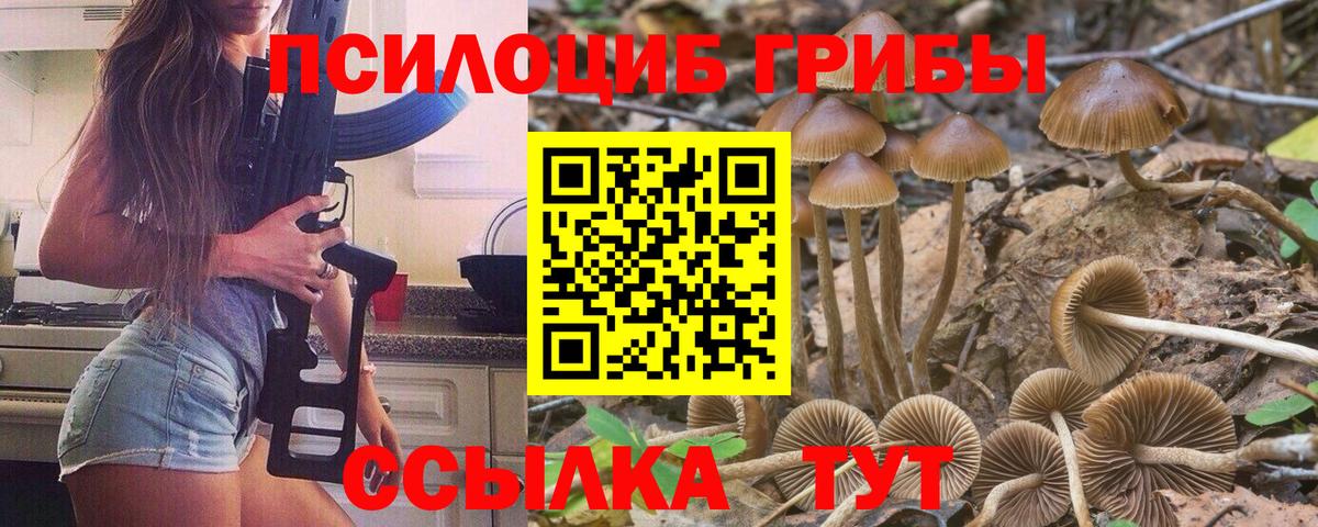 Псилоцибиновые грибы Psilocybe  Вход с VPN  Людиново 