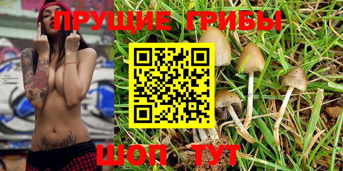 наркошоп  Людиново  Псилоцибиновые грибы MAGIC MUSHROOMS 