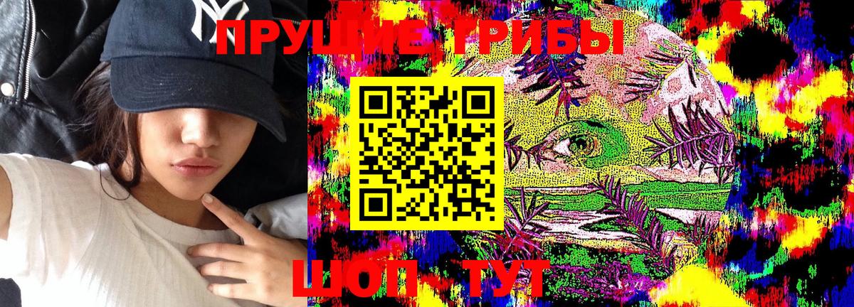 Псилоцибиновые грибы Psilocybine cubensis Людиново